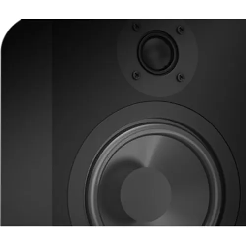 Proficient LB62 6" Cabinet Loudspeakers